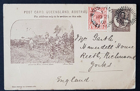 Queensland Postal Stationery Post Card 1d on buff Arrowroot Field  HG10 used