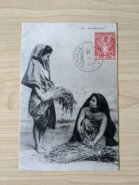 Thailand Postcard 16- Harvest Scene Bangkok sent to Niagara Falls