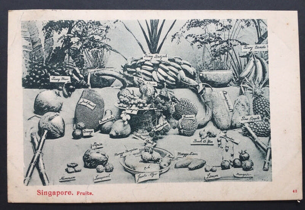 China- Incoming Mail. 1904 Singapore PPC To Shanghai