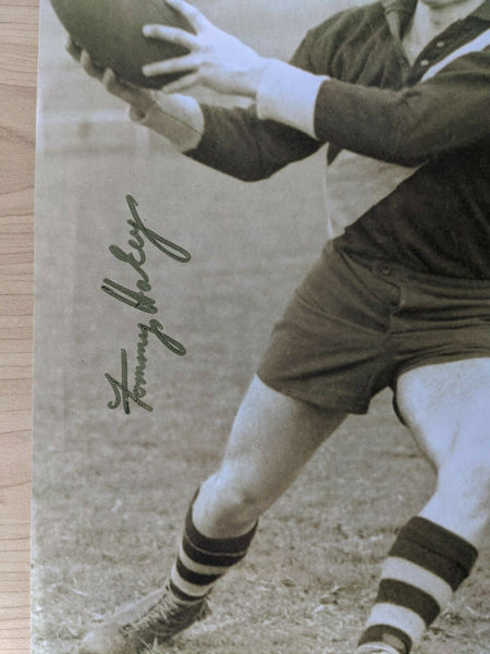 Australian Football Richmond Tigers Signed Picture Tom Haffey