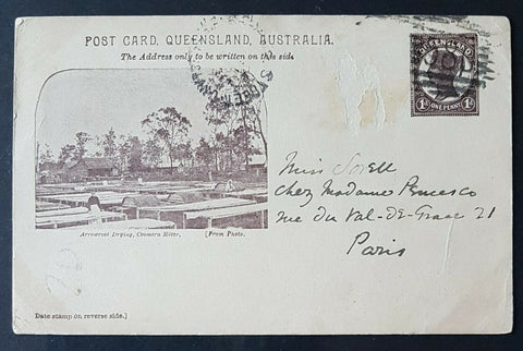 Queensland Postal Stationery Post Card 1d on buff Arrowroot Field  HG10 used