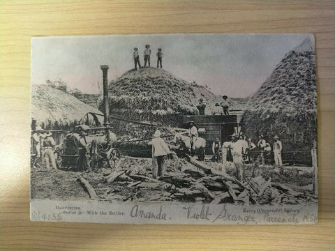 Australia 1907 Vintage Postcard Havesting With The Settler NSW to Germany