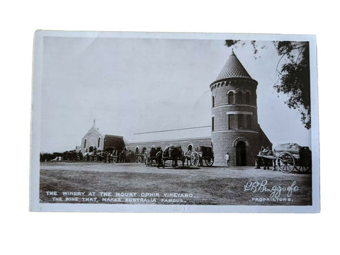 Victoria Post Card Advertising The Winery at The Mount Ophir Vineyard.