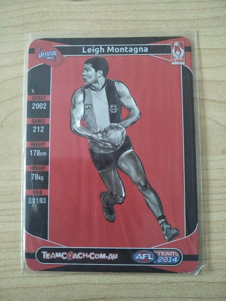 2014 Teamcoach Star Wildcard Leigh Montagna St Kilda SW-15