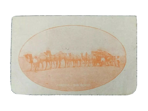 Australia Letter card postal stationery 2d KGV Carting Far North LC48 -29 camels