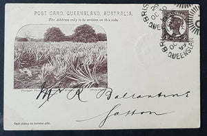 Queensland Post Card PTPO 1d on buff, Pineapple Plantation HG10 U