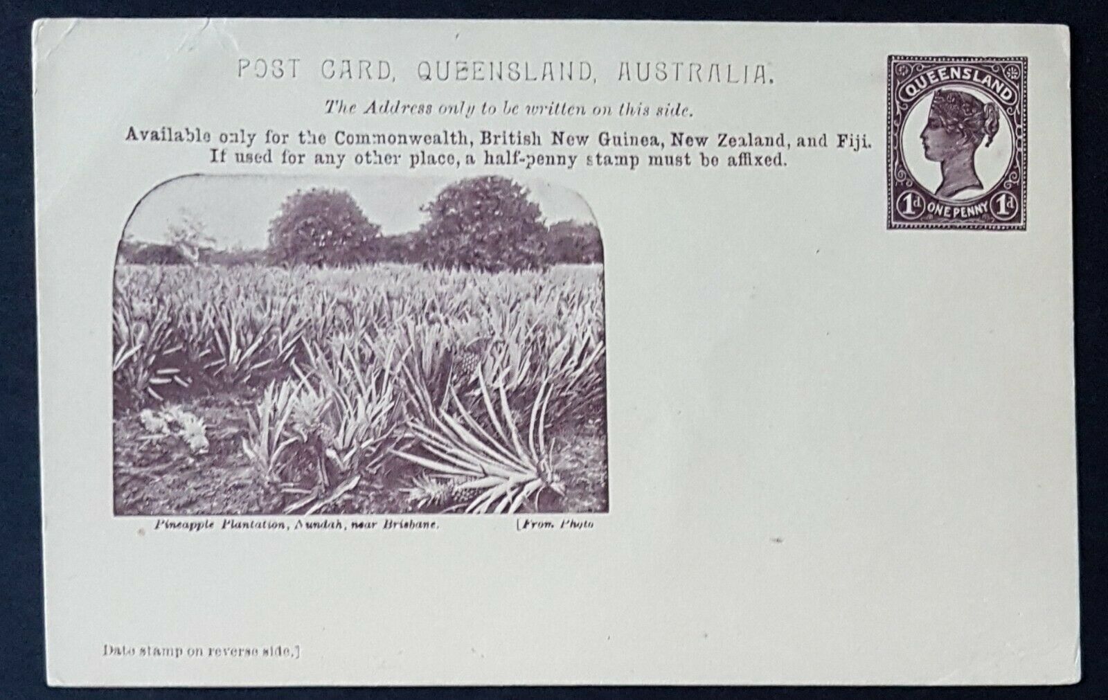Queensland Post Card, 1d KGV Pineapple Plantation Nundah HG 12 mint