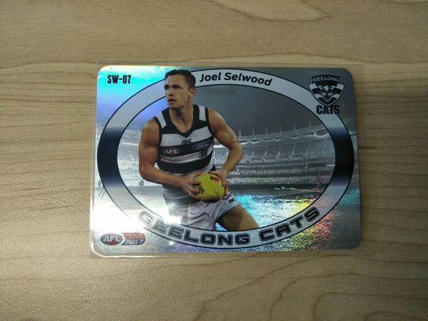 2017 Teamcoach Star Wildcard Joel Selwood Geelong