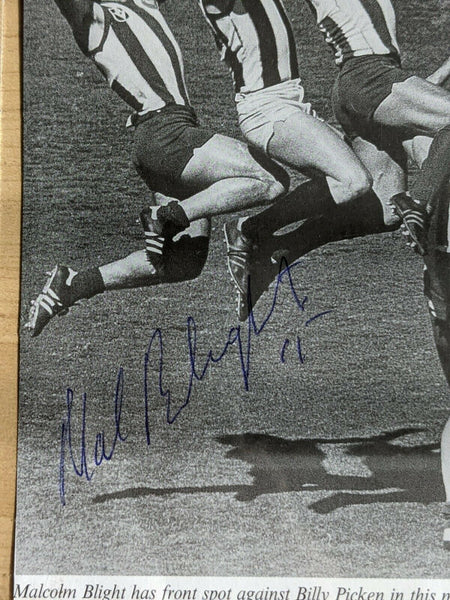 Malcolm Blight North Melbourne Kangaroos Hand Signed Picture