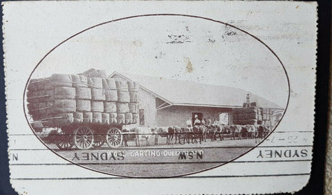 Australia Letter Card 1d full face KGV Wool Carting Qld U sheep horses LC11-141D