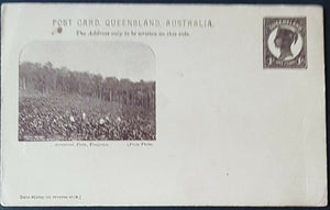 Queensland Post Card, 1d Arrowroot Field Pimpana HG 10a mint