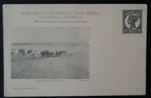 Queensland Post Card, 1½d Bullock Ploughing HG 11 mint