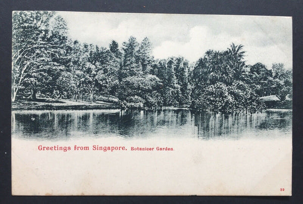 China- Incoming Mail. 1904 Singapore PPC To Shanghai