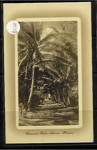 Tonga Pacific Islands1d postcard - Coconut Palm Avenue Haapai, postal stationery