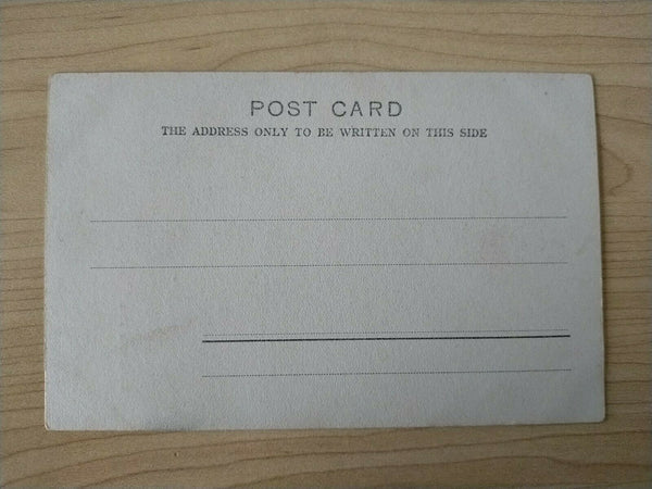 Australian Vintage Postcard A Fighting Man Aboriginal Kerry & Co Sydney