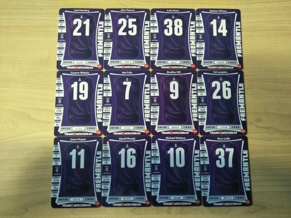 2019 Teamcoach Gold Fremantle Team Set Of 12 Cards