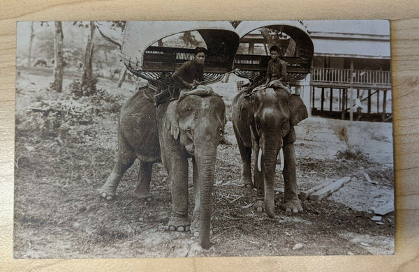 Thailand Postcard Riding Elephants Mint
