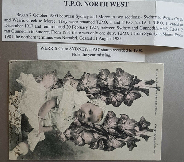 NSW 1d Arms on postcard Werris Creek  Sydney Travelling Post Office train cancel