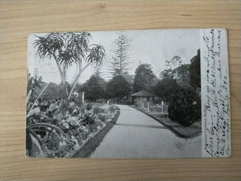 Australian Vintage Postcard Botanical Gardens Sydney Fire By Friction Aboriginal