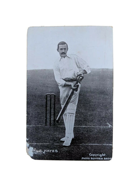 English Cricket Postcard Hayes Photo By Bowden Bros