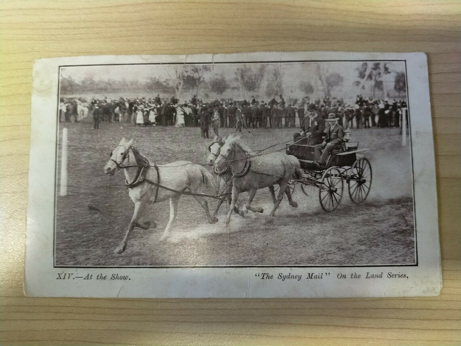 Australia 1908 Vintage Postcard At The Show, Sydney. Mail On Land Series, Goulburn.