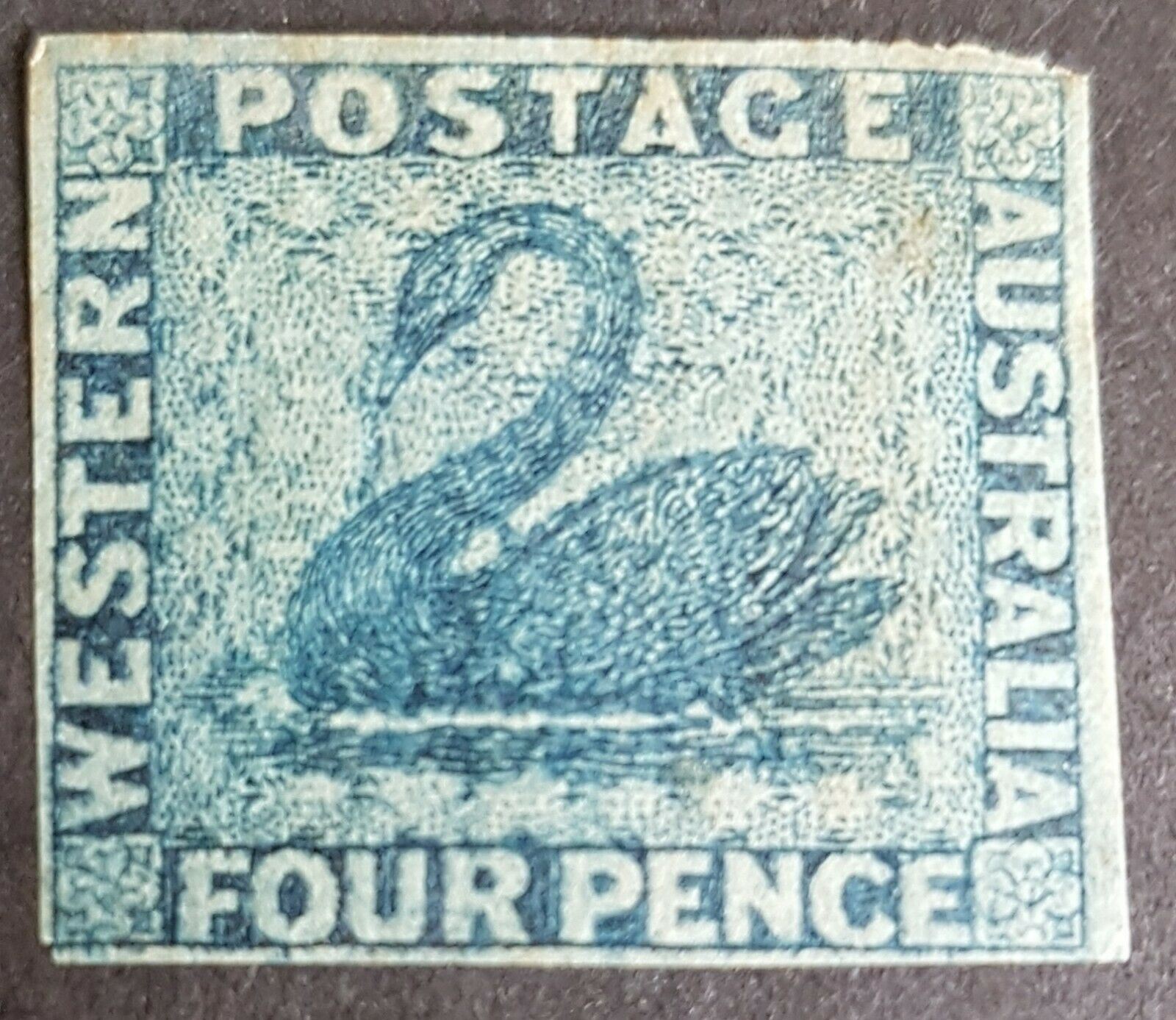 WA Western Australia Australian States SG 27 4d deep blue Swan birds  MLH