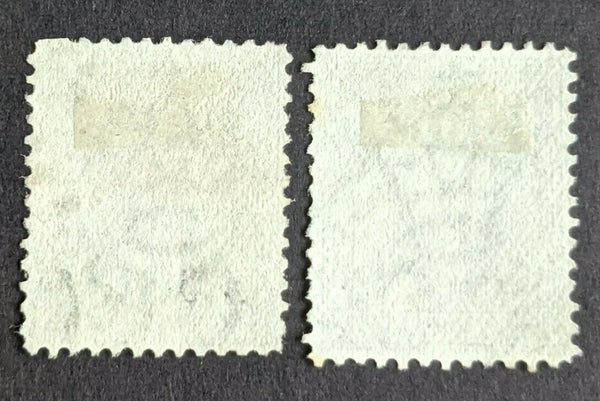 Ceylon Sri Lanka Queen Victoria SG 136/7 Set of 2 Used