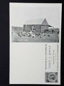 SA South Australia Australian States1d Postcard Poultry farm birds mint