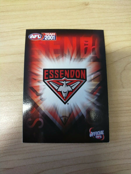 2001 Teamcoach Gold Prize Card Essendon 210 Dustin Fletcher