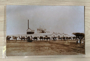 Australia Postcard Waverley Brewery Broken Hill with camel delivery train c.1900