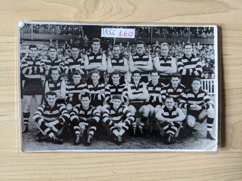 VFL 1955 Geelong Football Club Boyles Team Photo Postcard