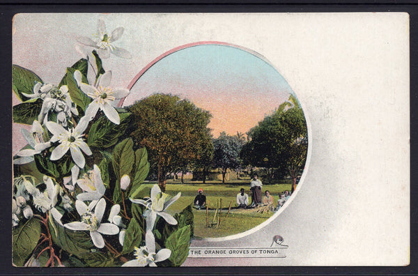 Tonga Toga 1d Stamp The Orange Groves of Tonga Postcard Mint