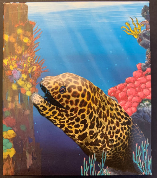 Australia 2010 Perth Mint 50c Australian Sea Life The Reef Moray Eel 1/2oz .999 Proof Silver Coin