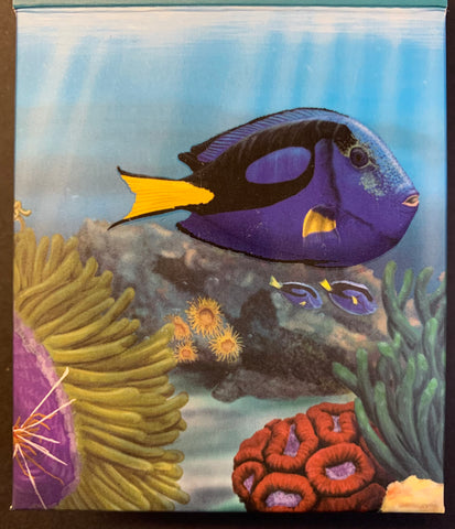Australia 2010 Perth Mint 50c Australian Sea Life The Reef Surgeonfish  1/2oz .999 Proof Silver Coin