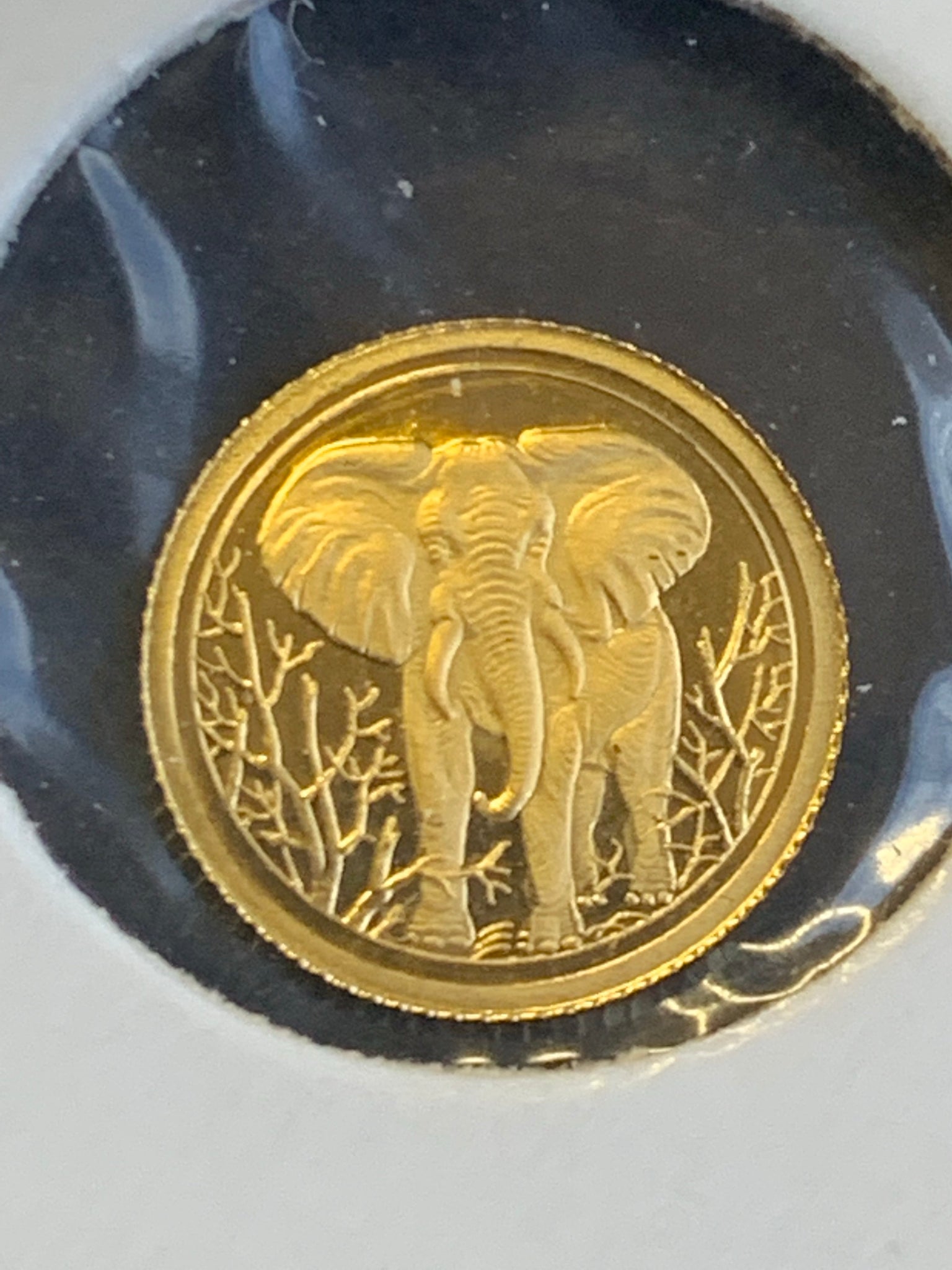 Somalia 2004 Elephant 1/50th oz Gold Proof Coin.