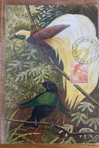 PNG Papua New Guinea 1957 2½d Bird of Paradise Maxi card